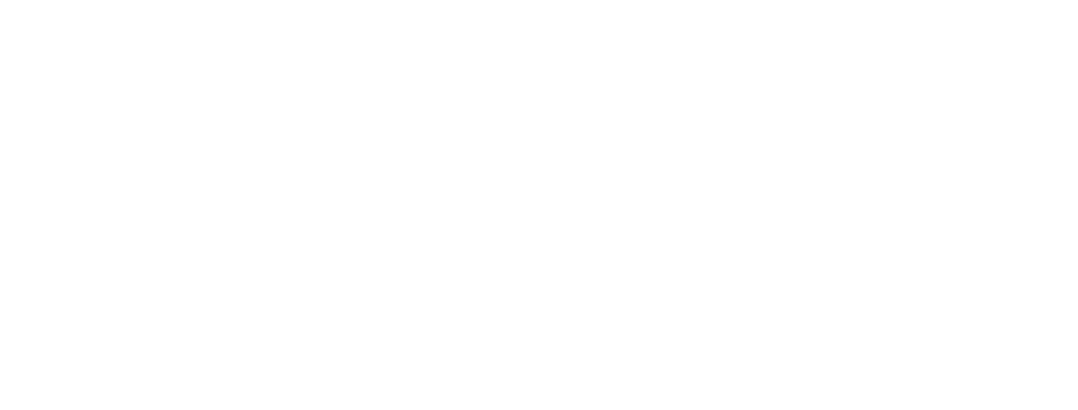 APT 200 logo