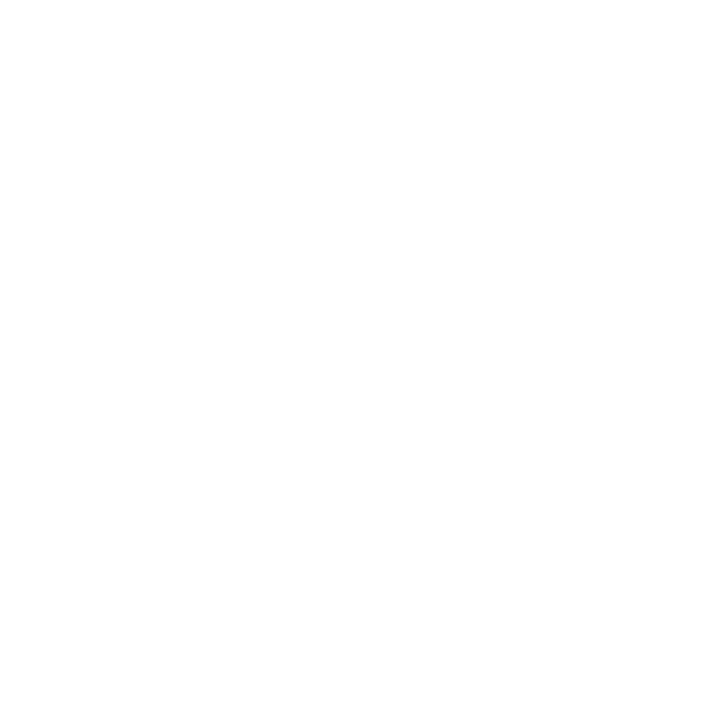 Lifetime Fitness logo